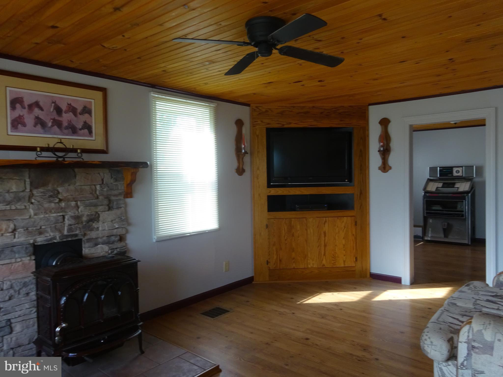 16644 Spielman Road Fairplay, MD 21733 - Photo 8 of 25 Built-in TV Cabinet