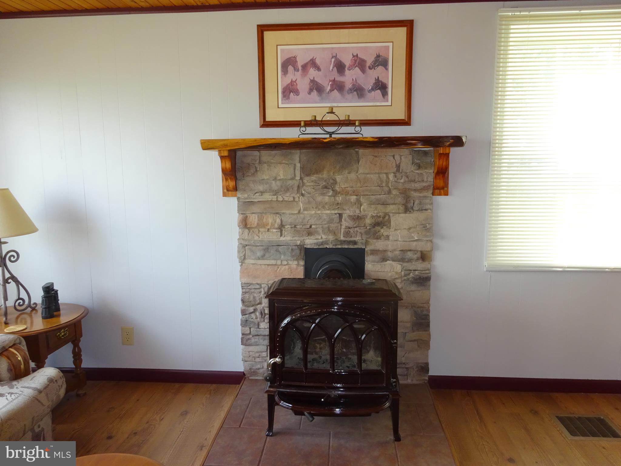 16644 Spielman Road Fairplay, MD 21733 - Photo 9 of 25 Cozy Wood Stove