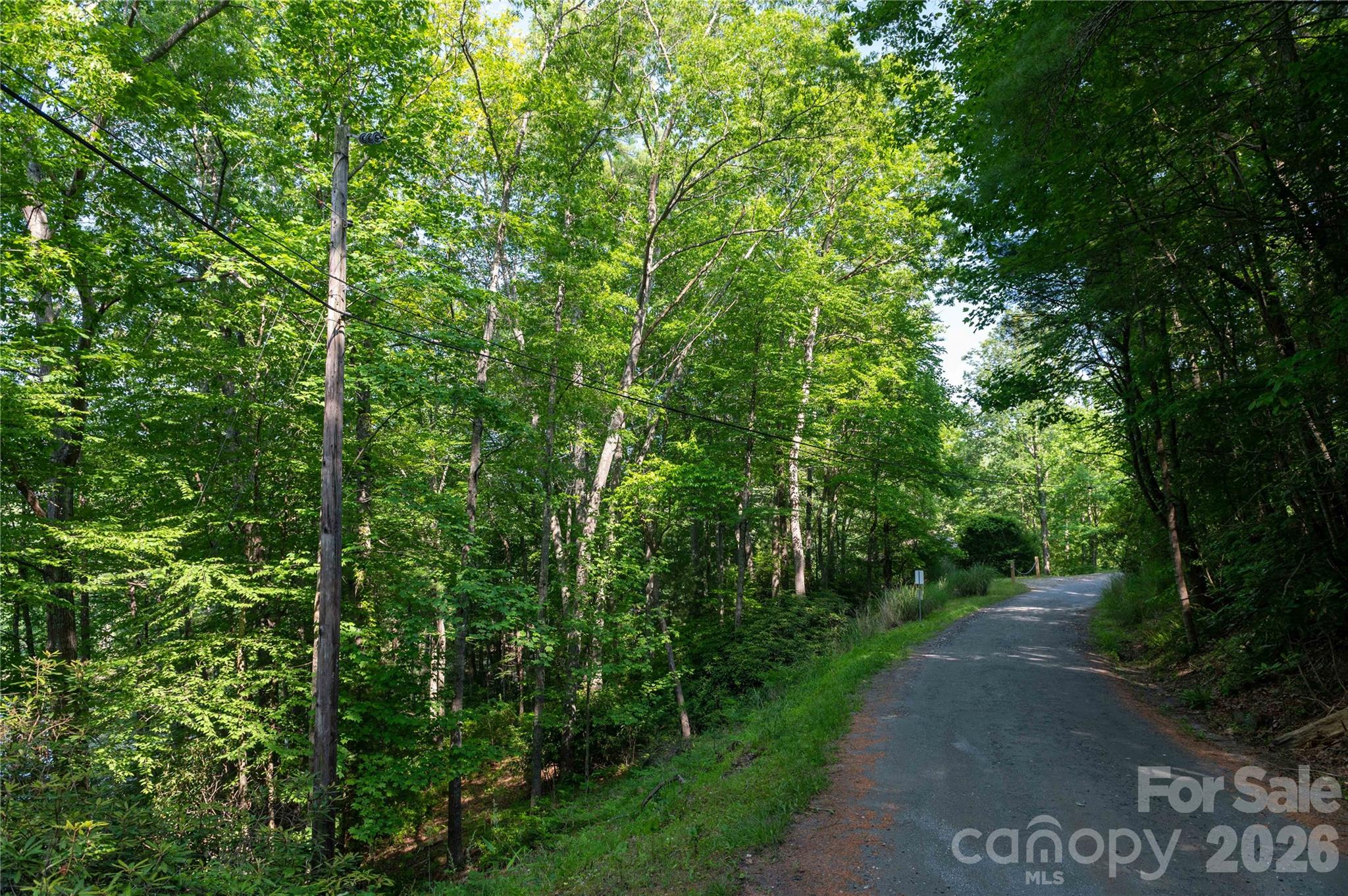 0 Deer Park Lake Road Spruce Pine, NC 28777 - Photo 20 of 24