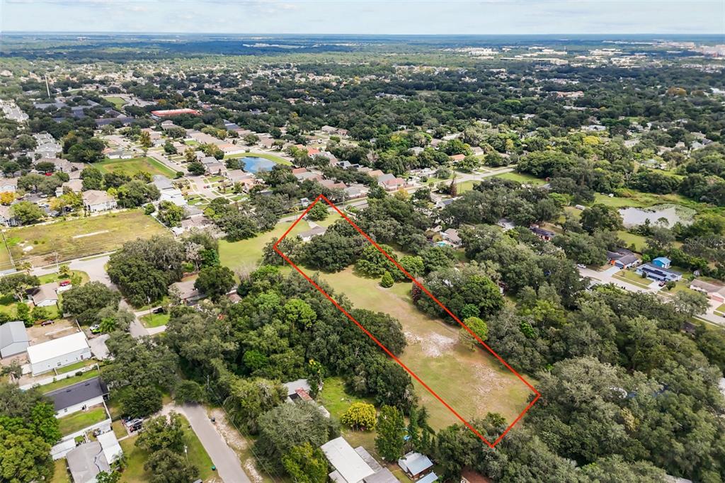 10232 Buck Road Orlando, FL 32817 - Photo 6 of 24 Gallery Image 6
