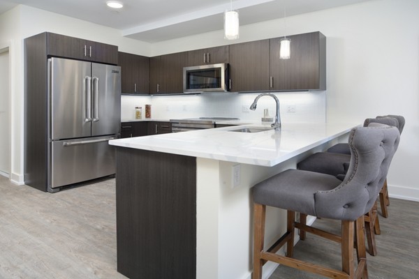 20 Penniman Road, Unit 406 Boston, MA 02134 - Photo 3 of 9 Gallery Image 3