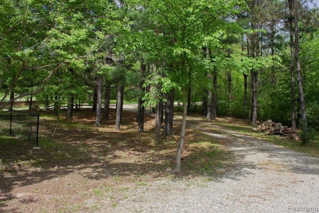 4453 Havens Road Dryden, MI 48428 - Photo 33 of 34 Treed Drive.jpg