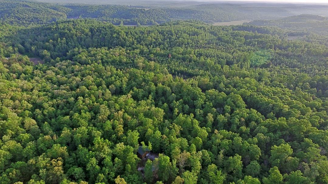 C E Todd Road Robbins, TN 37852 - Photo 4 of 21 DJI_0512