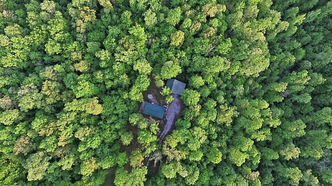 C E Todd Road Robbins, TN 37852 - Photo 5 of 21 DJI_0515