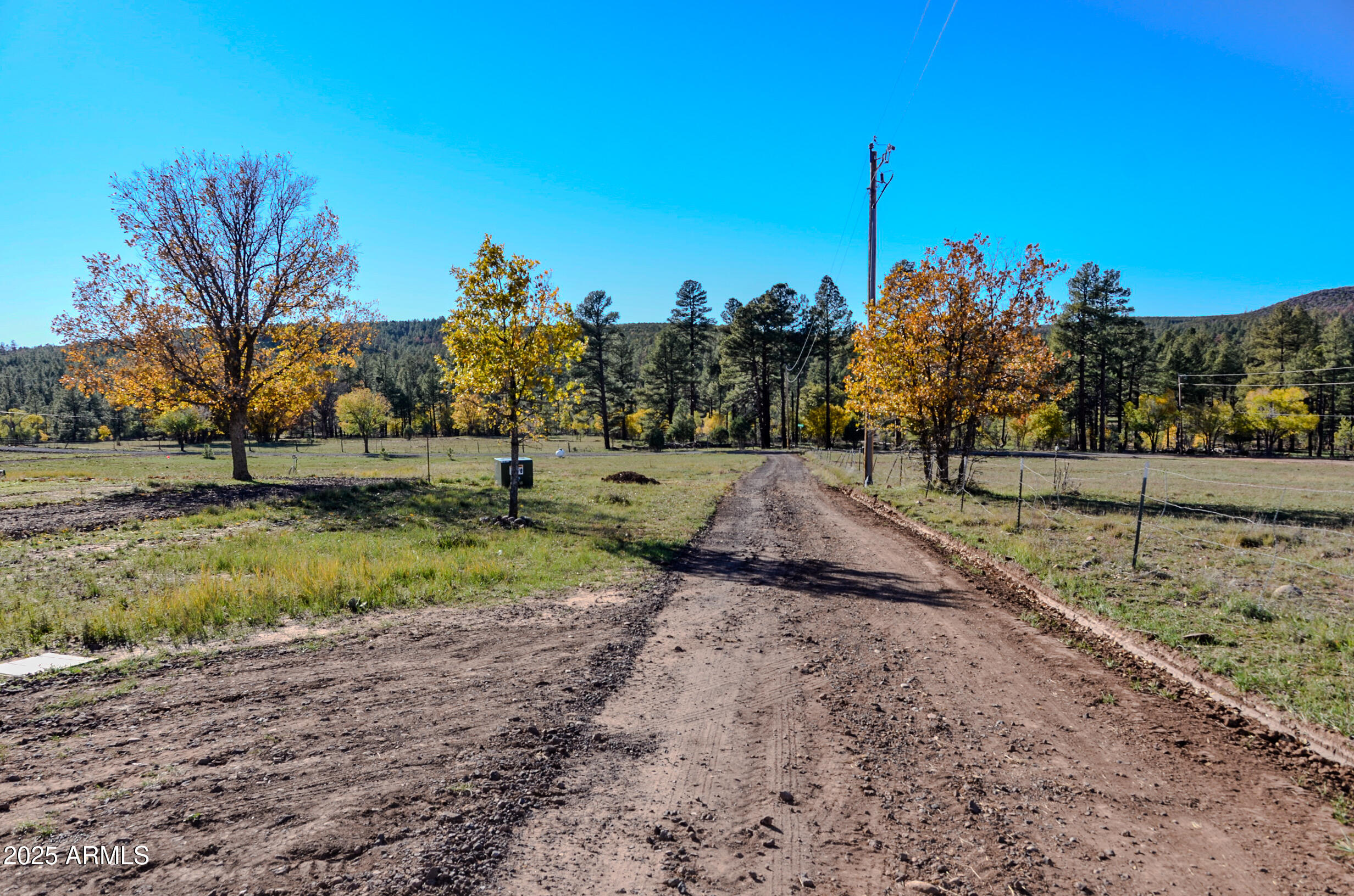 685 Kuhn Road Pinedale, AZ 85934 - Photo 2 of 74 a view of a field with a tree in the background