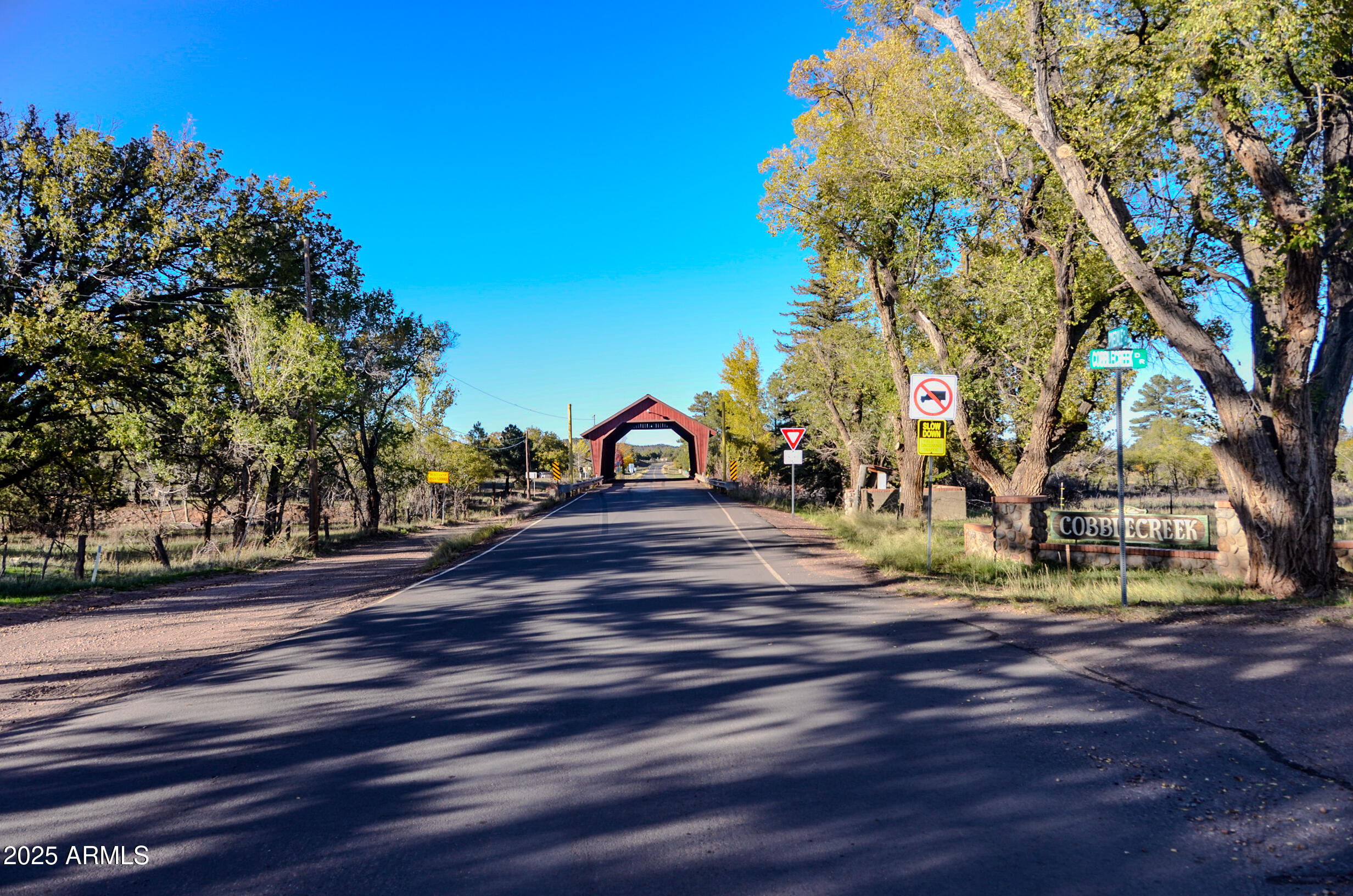 685 Kuhn Road Pinedale, AZ 85934 - Photo 41 of 74 a view of a park with large trees