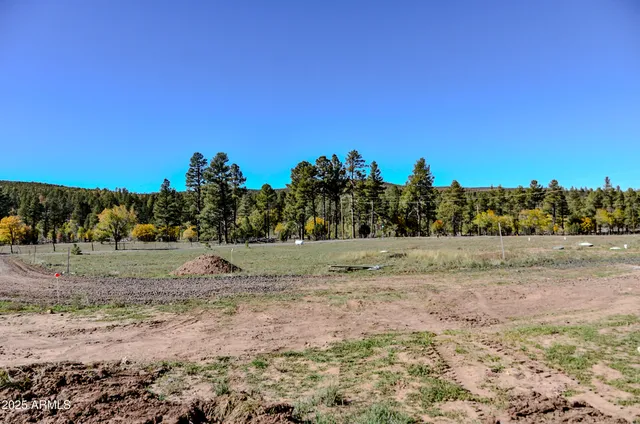 $700,000 | 685 Kuhn Road, Show Low, AZ 85901