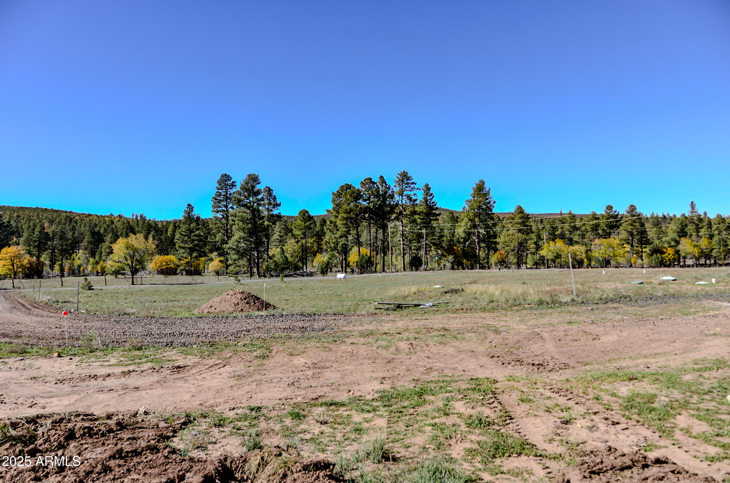 685 Kuhn Road Pinedale, AZ 85934 - Photo 47 of 74 a view of dirt yard with large trees