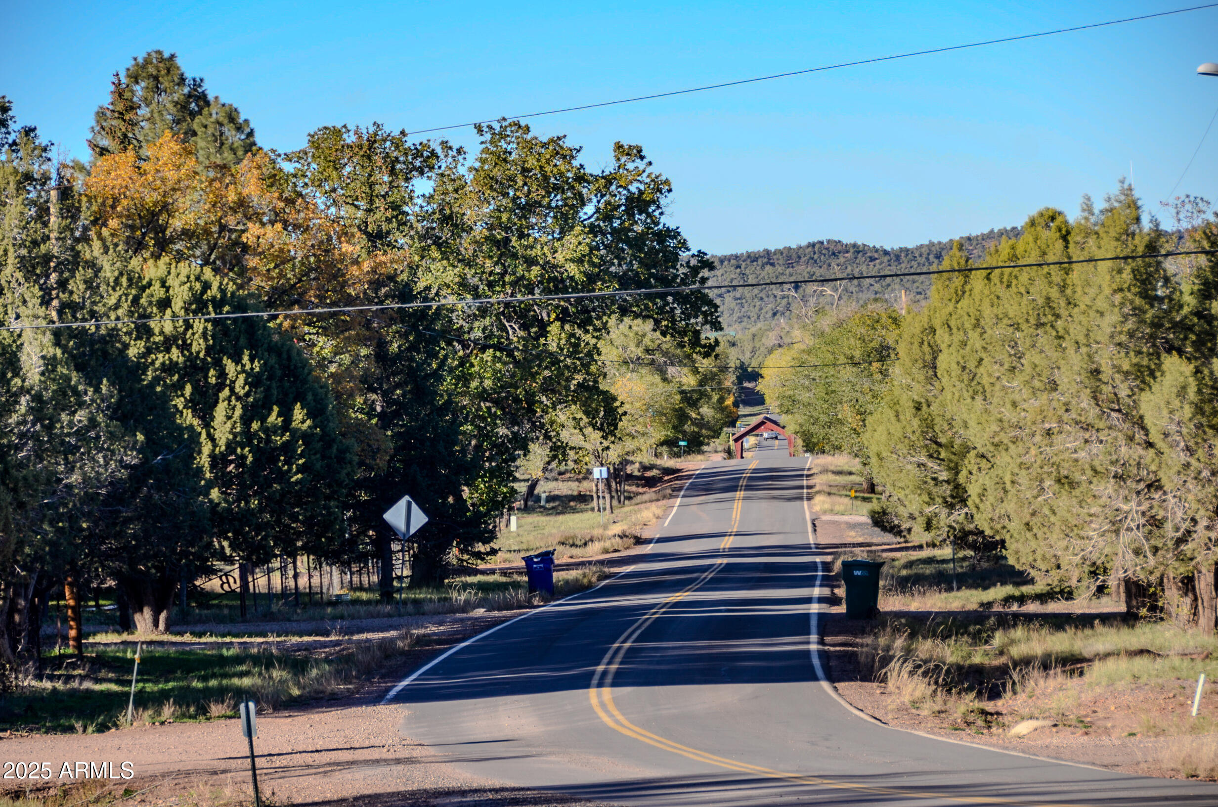 685 Kuhn Road Pinedale, AZ 85934 - Photo 48 of 74 a view of a yard in front of a building