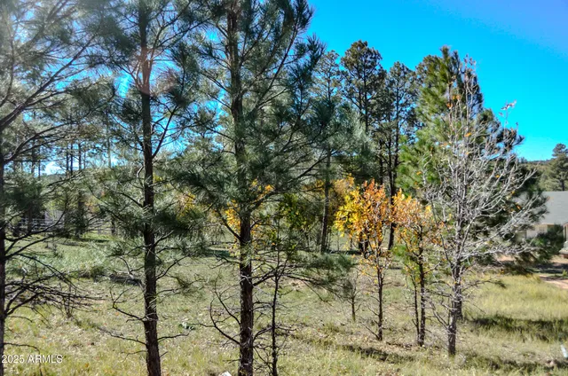 $700,000 | 685 Kuhn Road, Show Low, AZ 85901