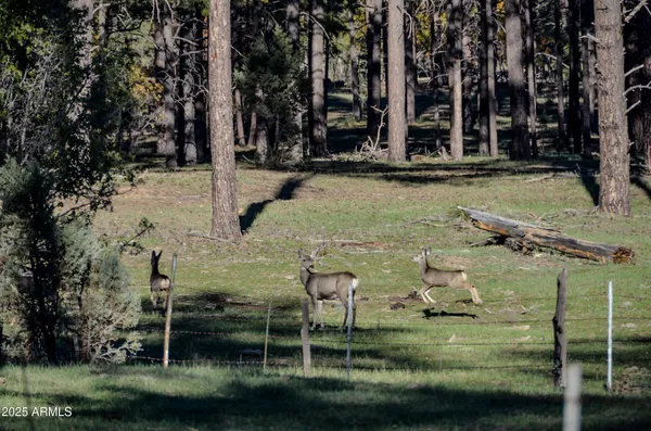 $700,000 | 685 Kuhn Road, Pinedale, AZ 85934