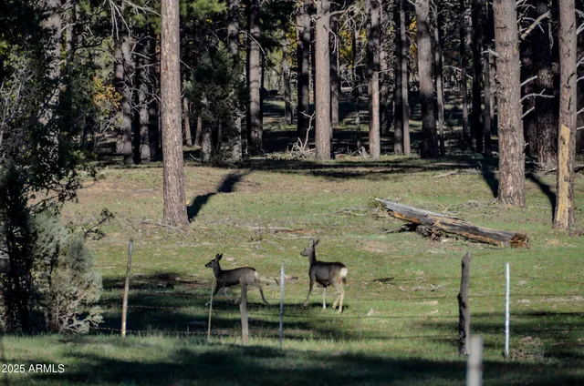 $700,000 | 685 Kuhn Road, Show Low, AZ 85901