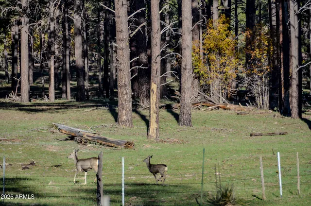 $700,000 | 685 Kuhn Road, Show Low, AZ 85901