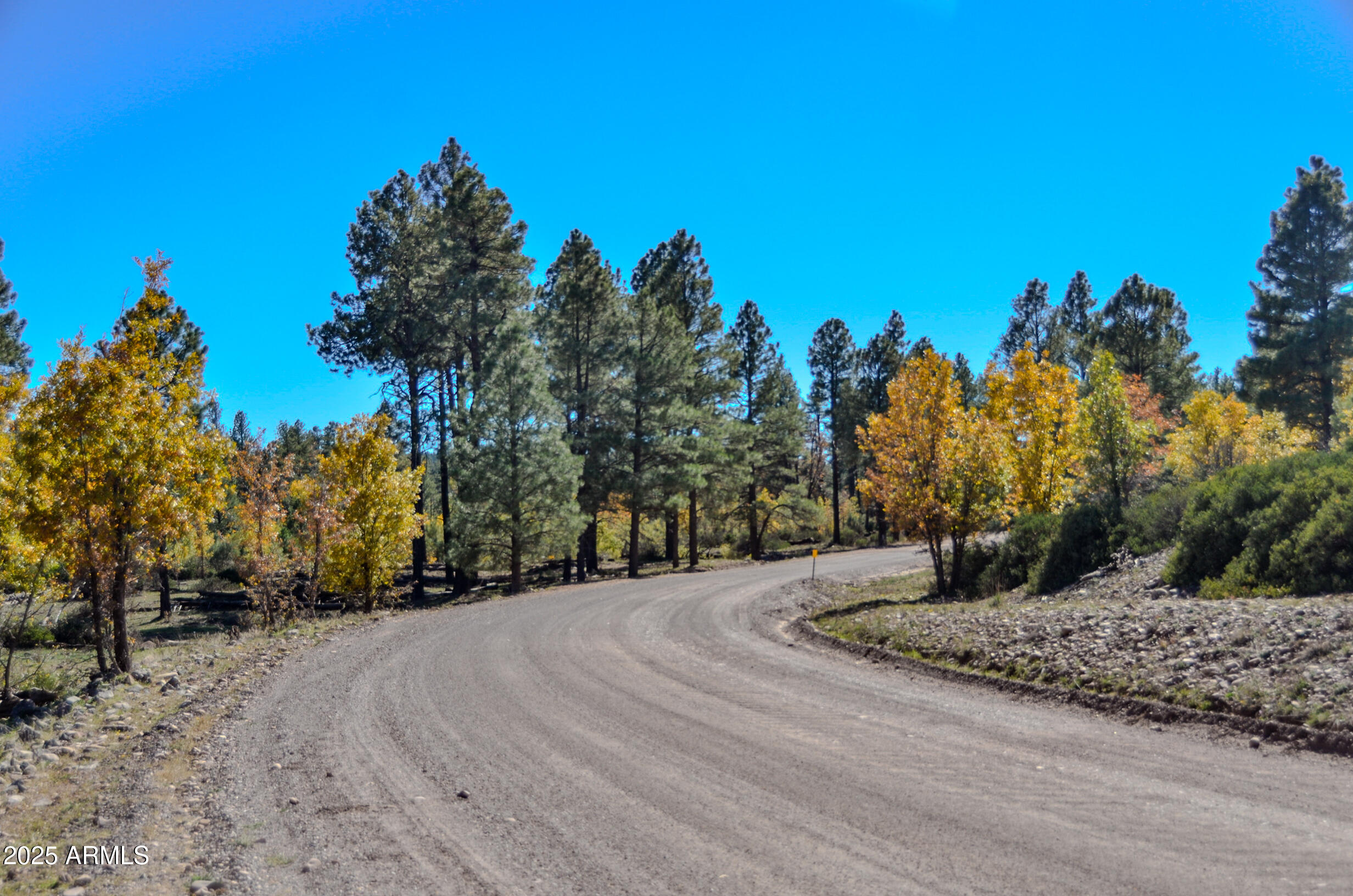 685 Kuhn Road Pinedale, AZ 85934 - Photo 62 of 74 a view of a backyard of a house