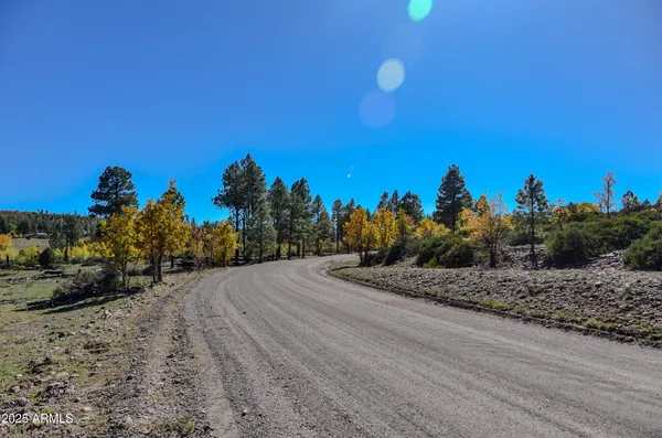 $700,000 | 685 Kuhn Road, Pinedale, AZ 85934