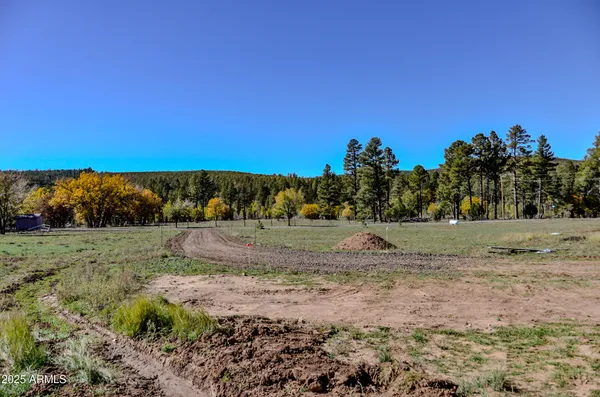 $700,000 | 685 Kuhn Road, Pinedale, AZ 85934