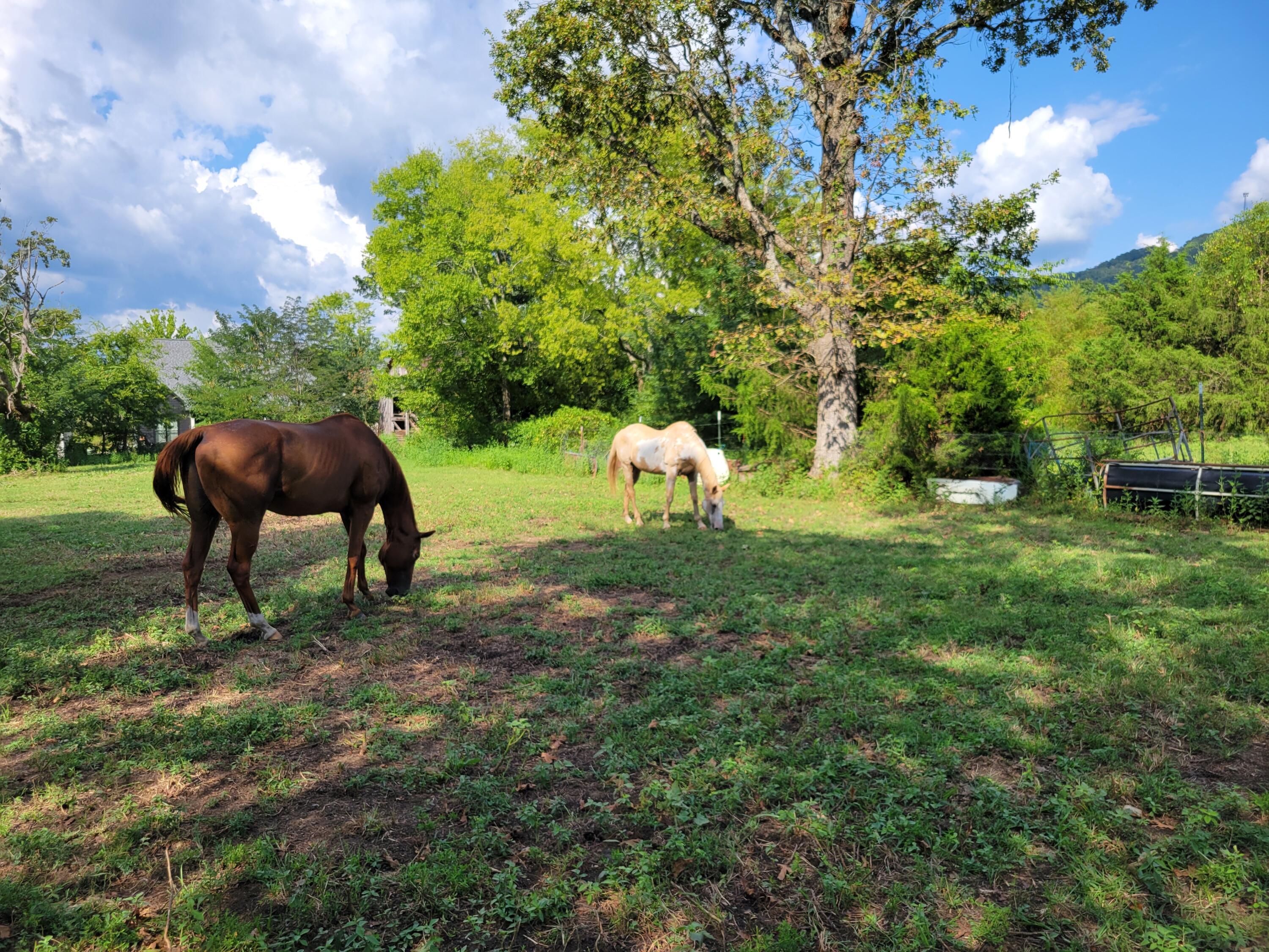 8110 Ooltewah Georgetown Road Ooltewah, TN 37363 - Photo 13 of 42 20250822_165918