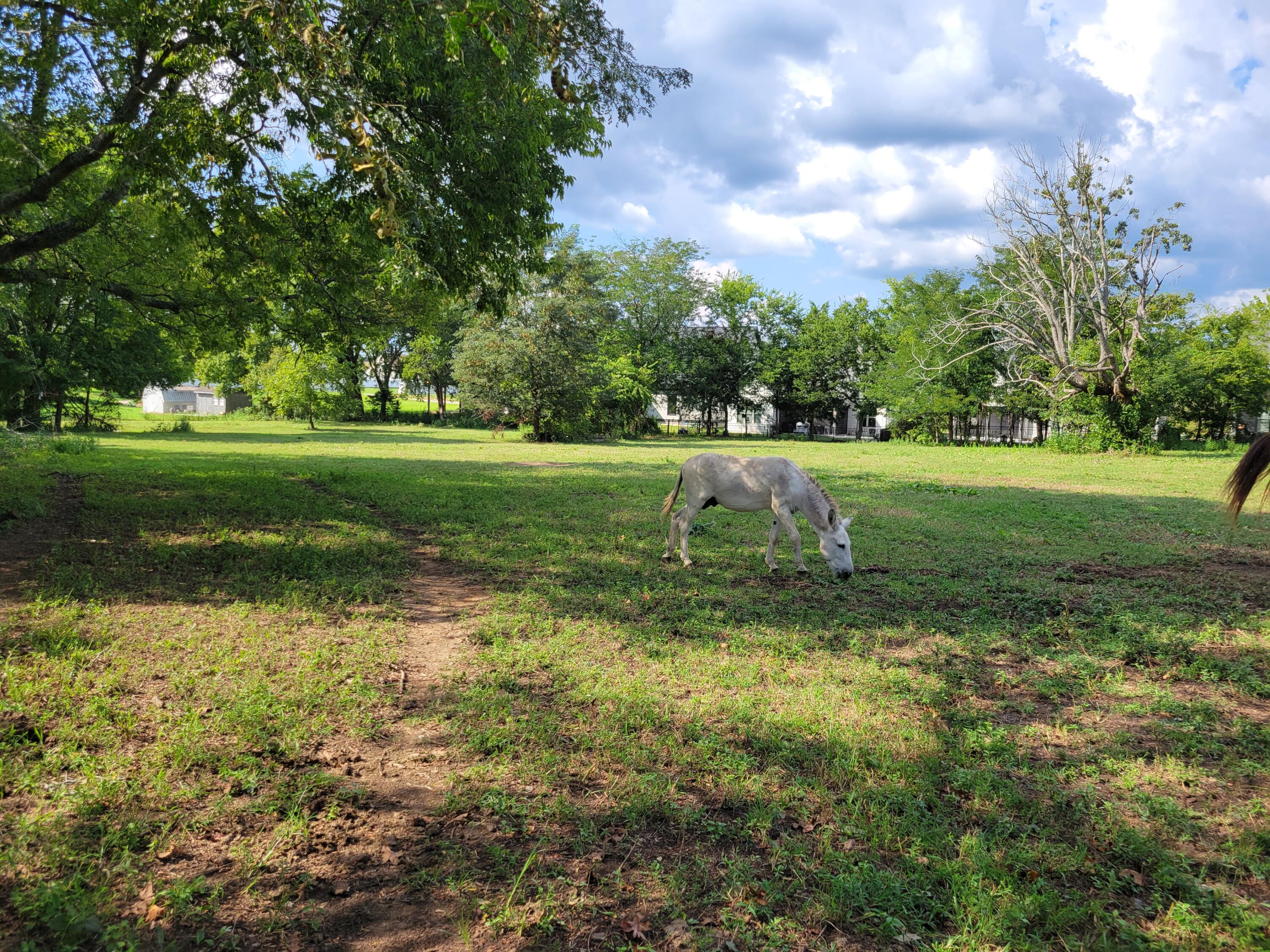 8110 Ooltewah Georgetown Road Ooltewah, TN 37363 - Photo 8 of 42 20250822_165921