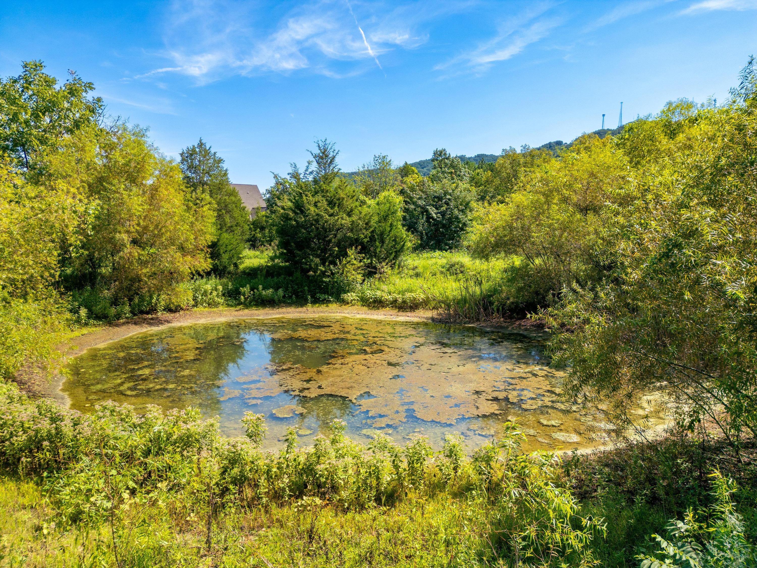 8110 Ooltewah Georgetown Road Ooltewah, TN 37363 - Photo 9 of 42 2025_08_August_103_Arrow_Dr_0009