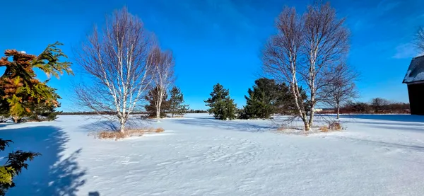 $425,000 | 1877 State Road, Castle Hill, ME 04757