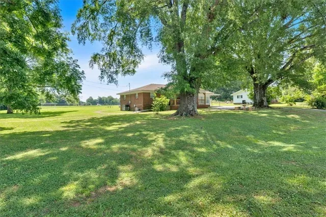 a view of a grassy field with trees all around