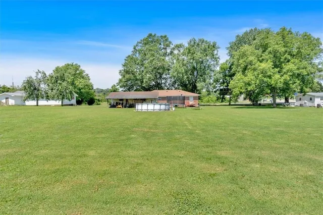 a view of a trees with a big yard