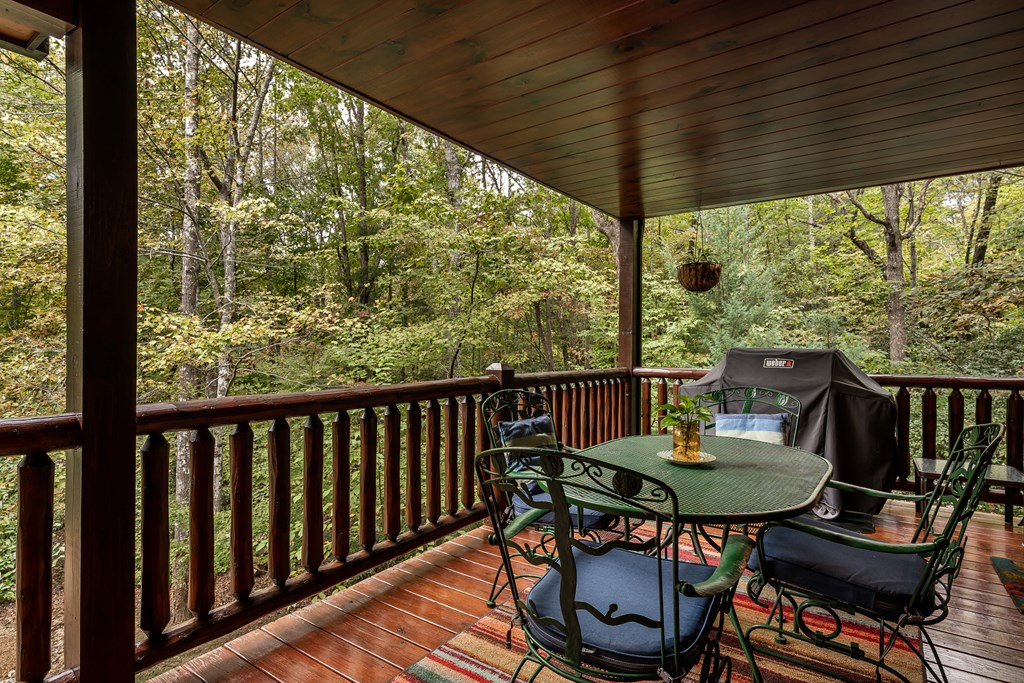 11 Rabbit Ridge Run Morganton, GA 30560 - Photo 50 of 84 Gallery Image 50