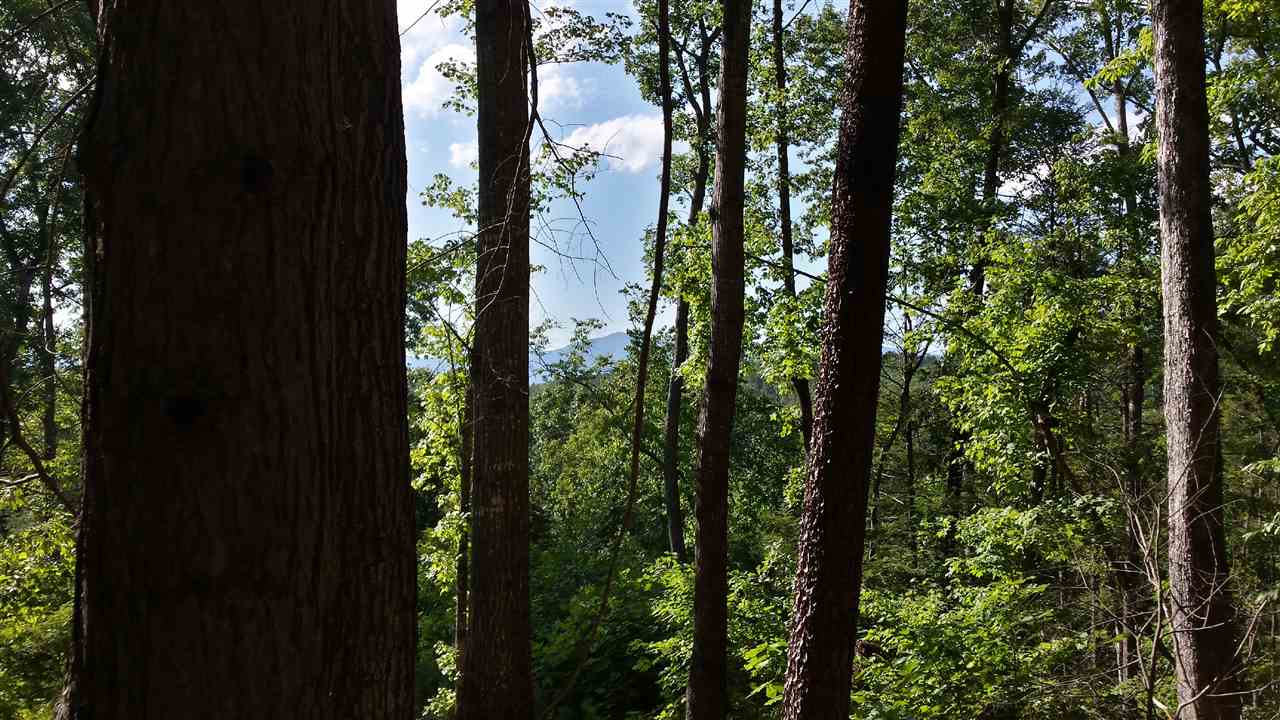 Lot 7 South Cross Creek Trail Mill Spring Mill Spring, NC 28756 - Photo 3 of 10 Gallery Image 3