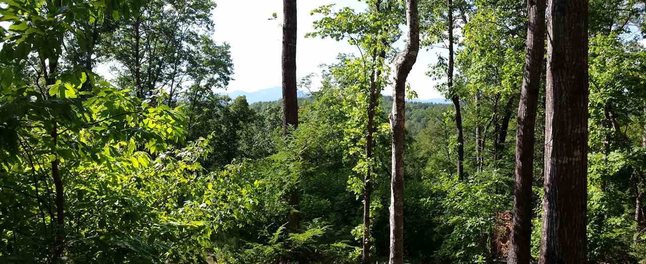 Lot 7 South Cross Creek Trail Mill Spring Mill Spring, NC 28756 - Photo 4 of 10 Gallery Image 4
