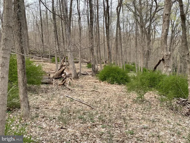 a view of outdoor space with seating area
