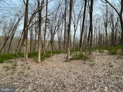 a view of outdoor space with lots of green space