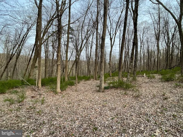 a view of outdoor space with lots of green space