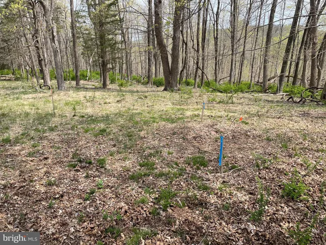 a fire hydrant in the middle of a yard
