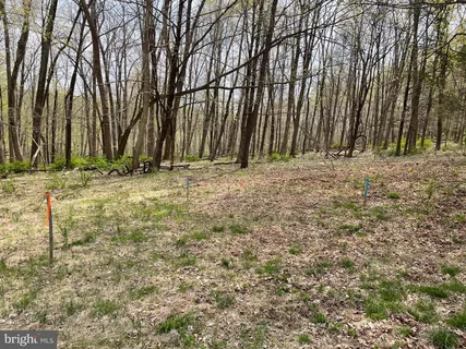 a view of a backyard of the house