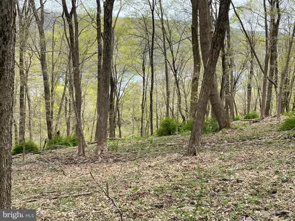 a backyard of a house with lots of trees