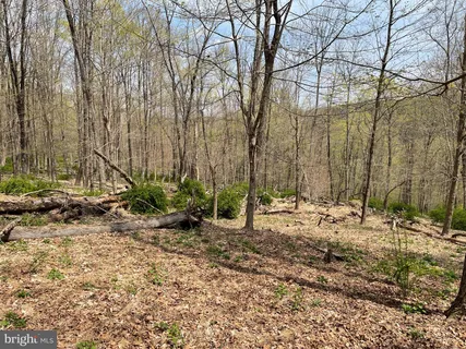 a view of a backyard of the house