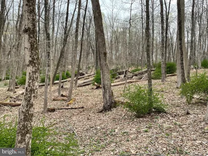 a view of outdoor space with lots of trees