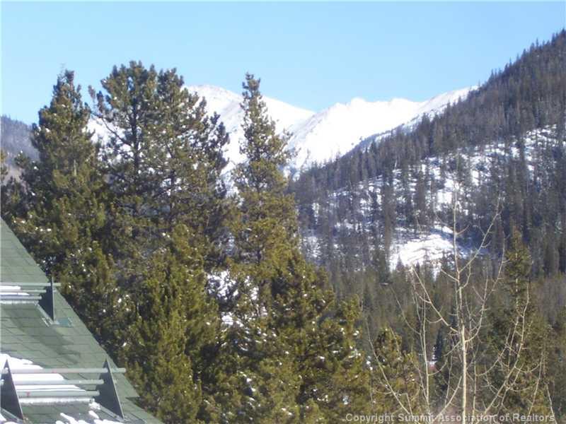 195 River Run Road, Unit 8074 Keystone, CO 80435 - Photo 10 of 21 a view of a tree in the middle of a yard