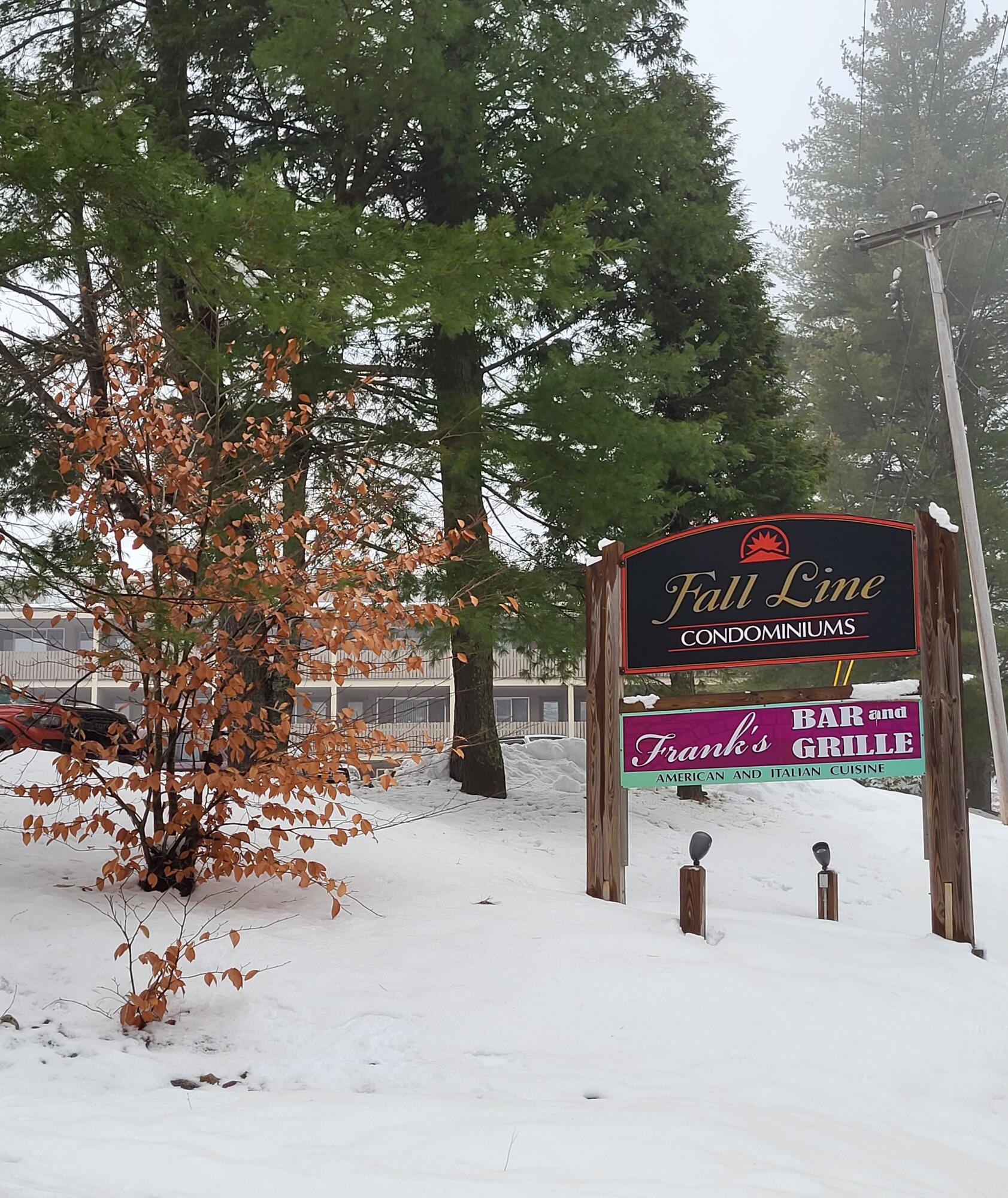 8 Fall Line Drive, Unit N104 Newry, ME 04261 - Photo 4 of 17 fallline