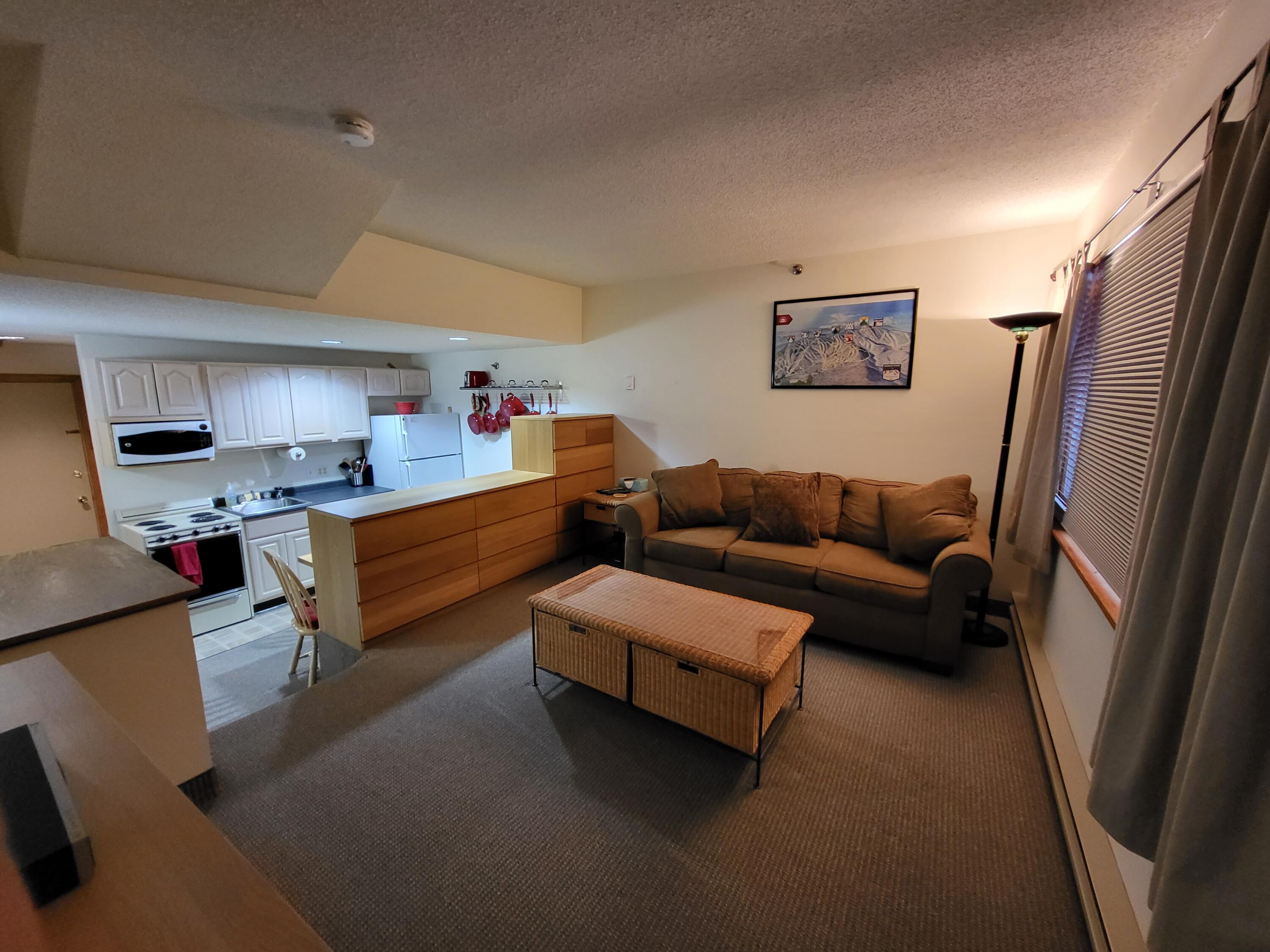 8 Fall Line Drive, Unit N104 Newry, ME 04261 - Photo 8 of 17 n104-living-room