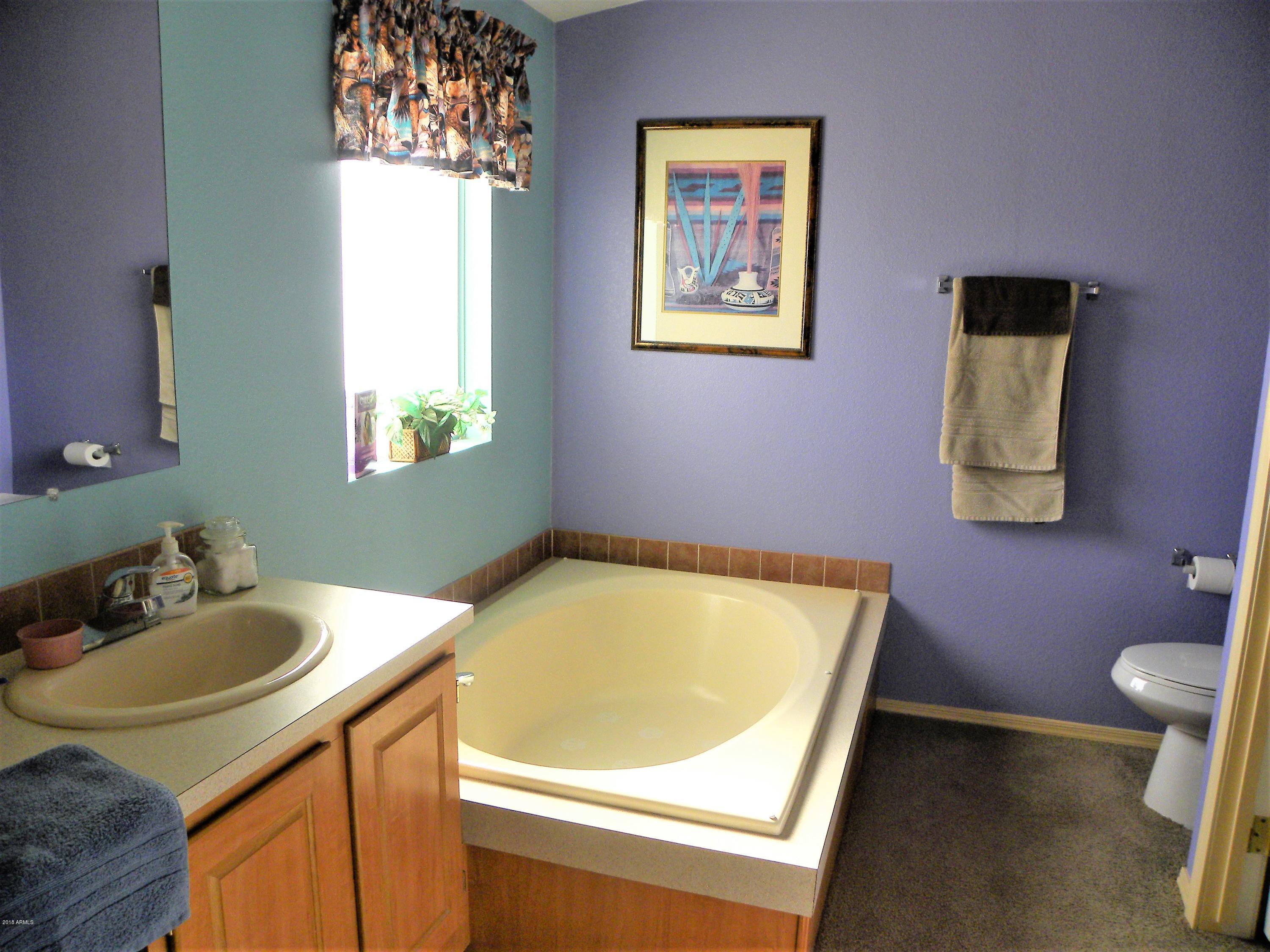 22446 West Peak View Road Wittmann, AZ 85361 - Photo 9 of 21 Master bath tub