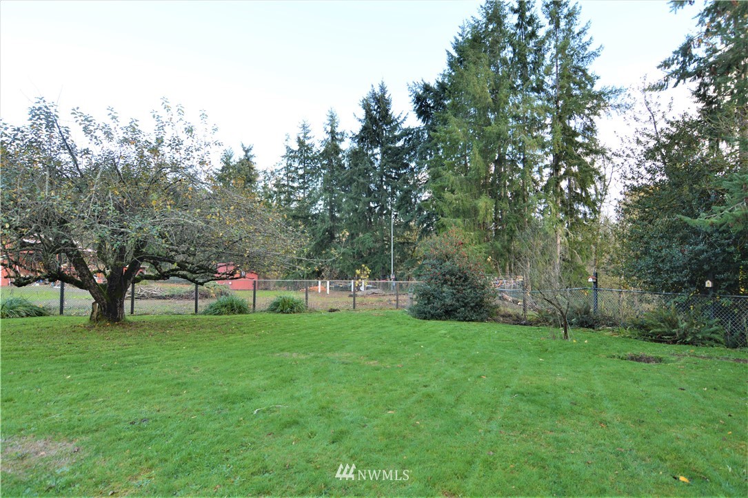 116 Dungan Road Kelso, WA 98626 - Photo 35 of 40 a view of a park with large trees