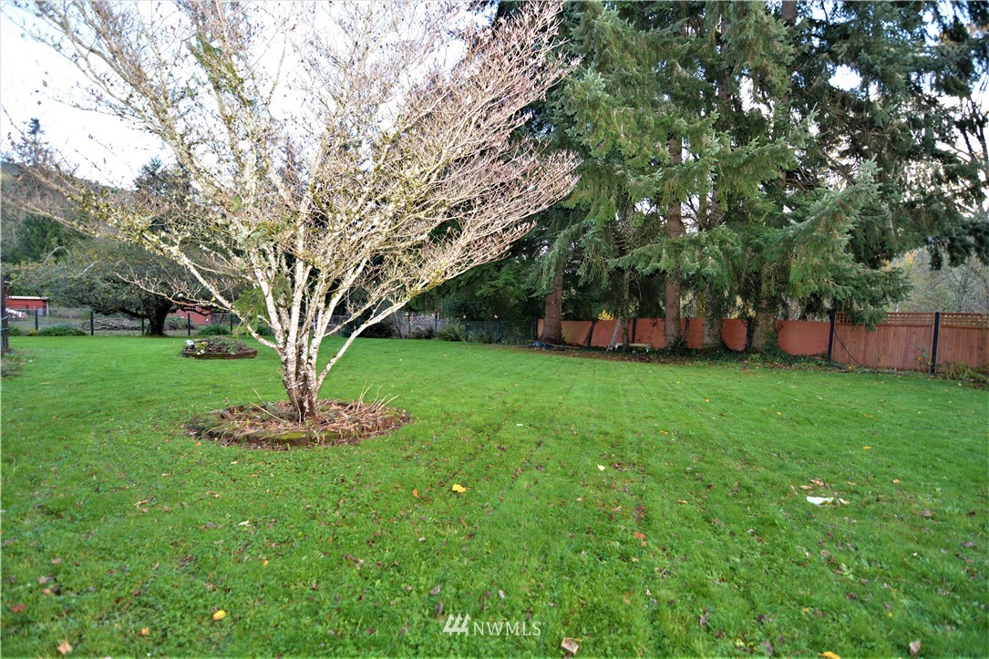 116 Dungan Road Kelso, WA 98626 - Photo 39 of 40 a view of a garden with a tree