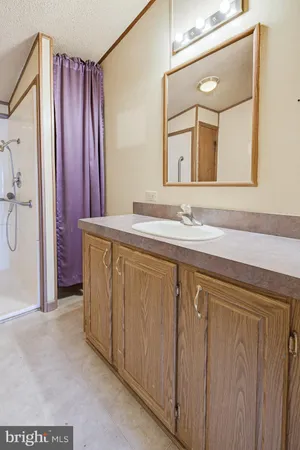 a bathroom with a sink a mirror and a shower