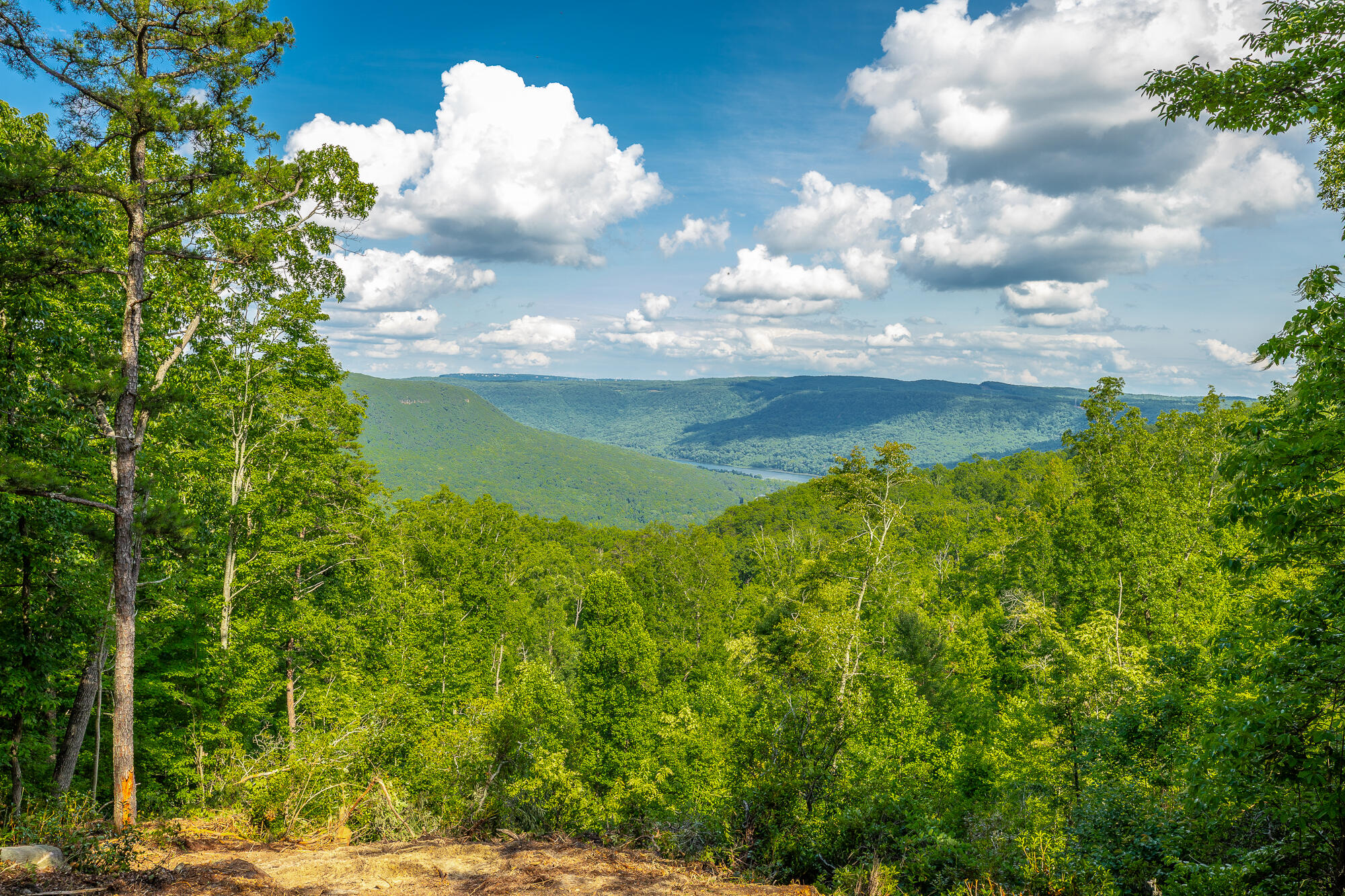 0 Back Basin Trail, Unit LOT 1244 Chattanooga, TN 37419 - Photo 21 of 119 MCW Correction HD-24
