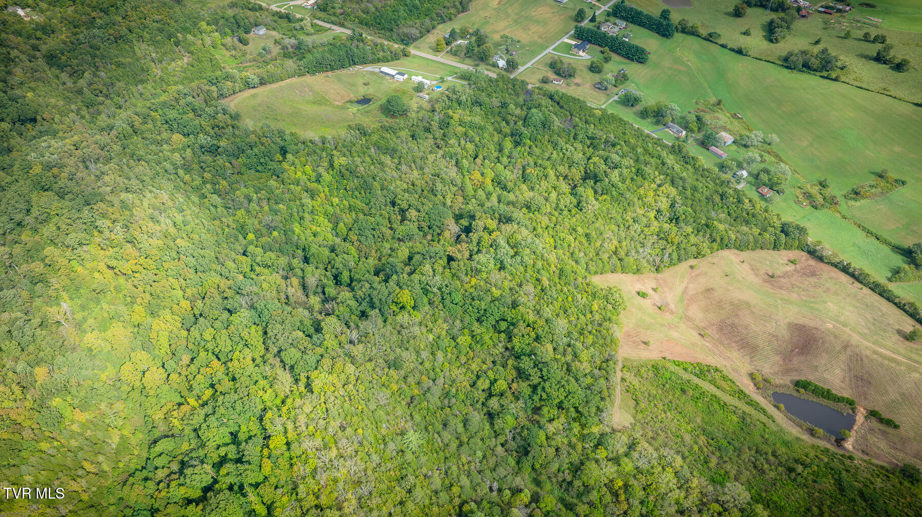 5965 Baileyton Road Greeneville, TN 37745 - Photo 7 of 18 106
