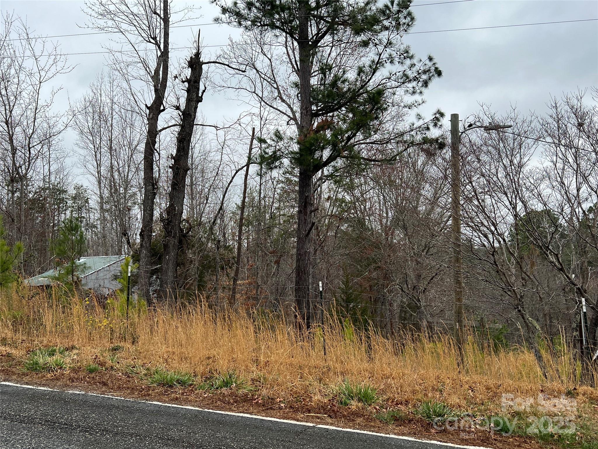 1217 Freeman Road Bostic, NC 28018 - Photo 12 of 16 a view of a yard