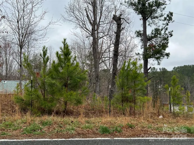 a view of a yard with a tree