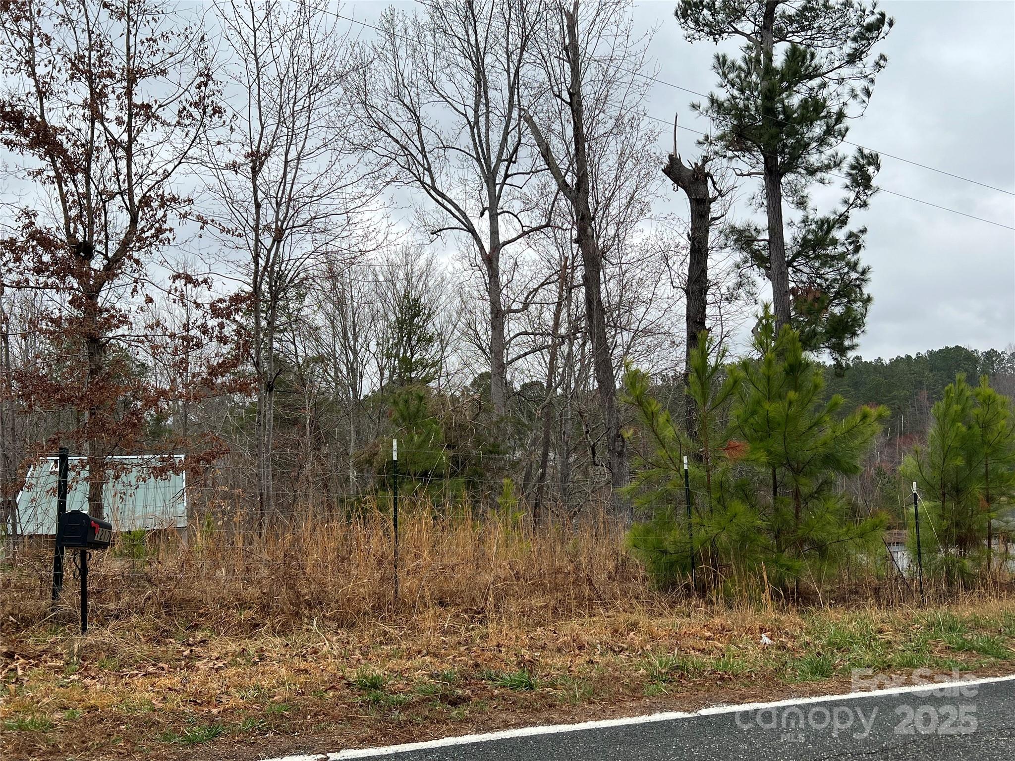 1217 Freeman Road Bostic, NC 28018 - Photo 14 of 16 a view of a yard