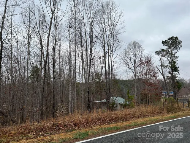 a view of backyard with green space
